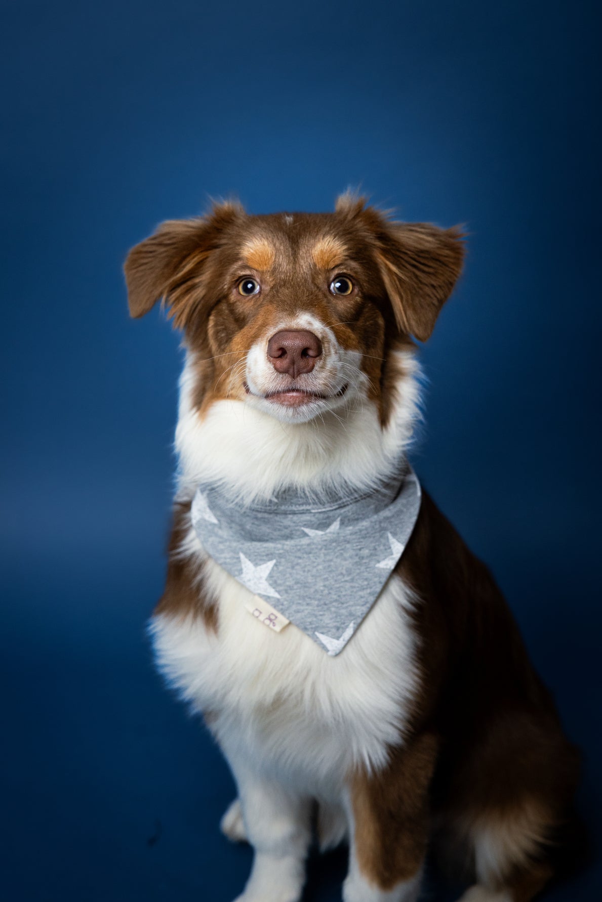 Bandana Cane
